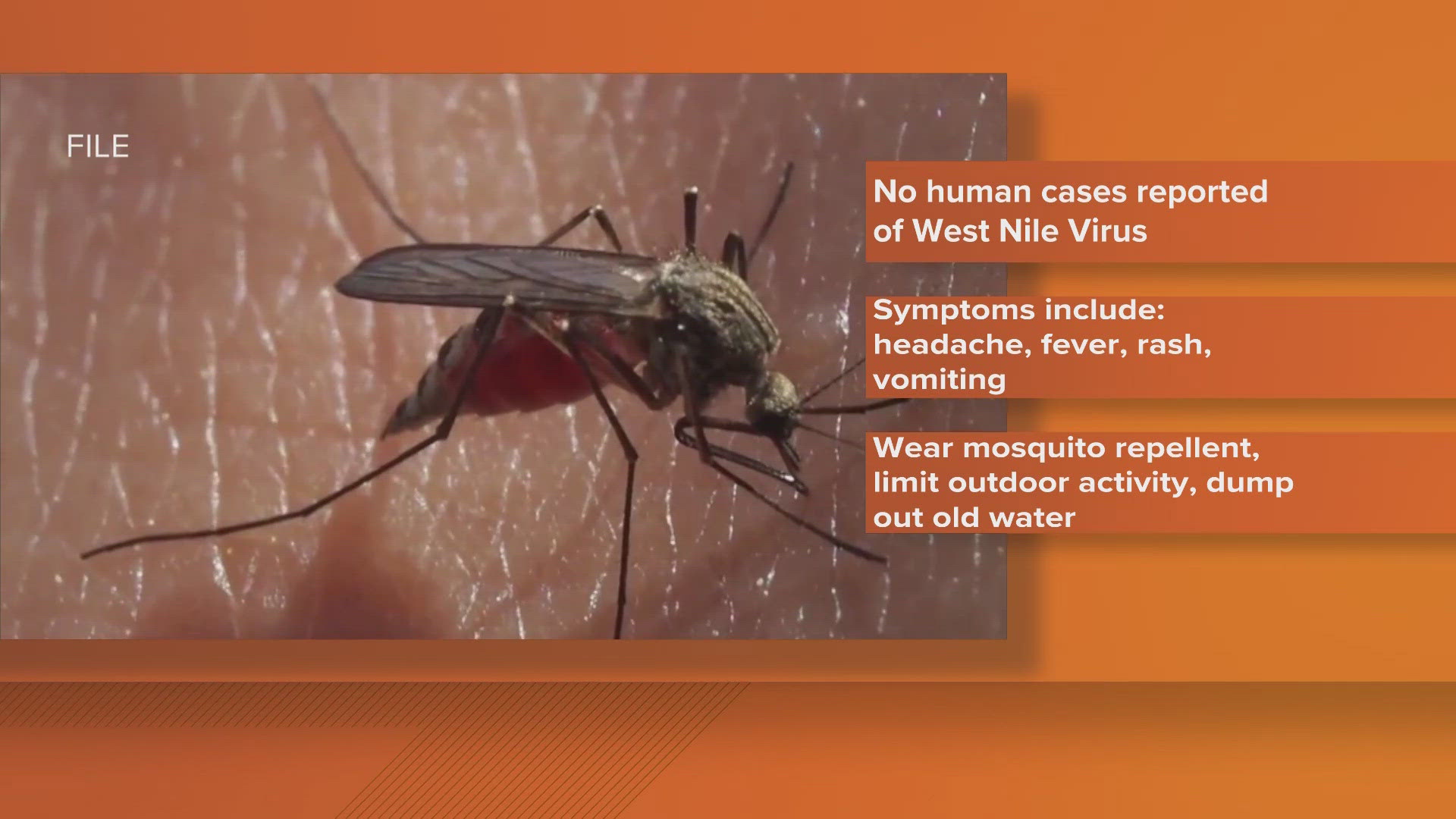 Mosquito control crews sprayed abatement in the Eastbank of Orleans Parish. 