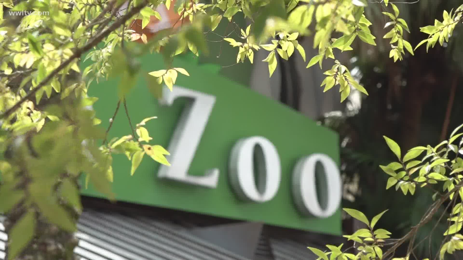 The Audubon Zoo and Aquarium are both open, but not so profitable.