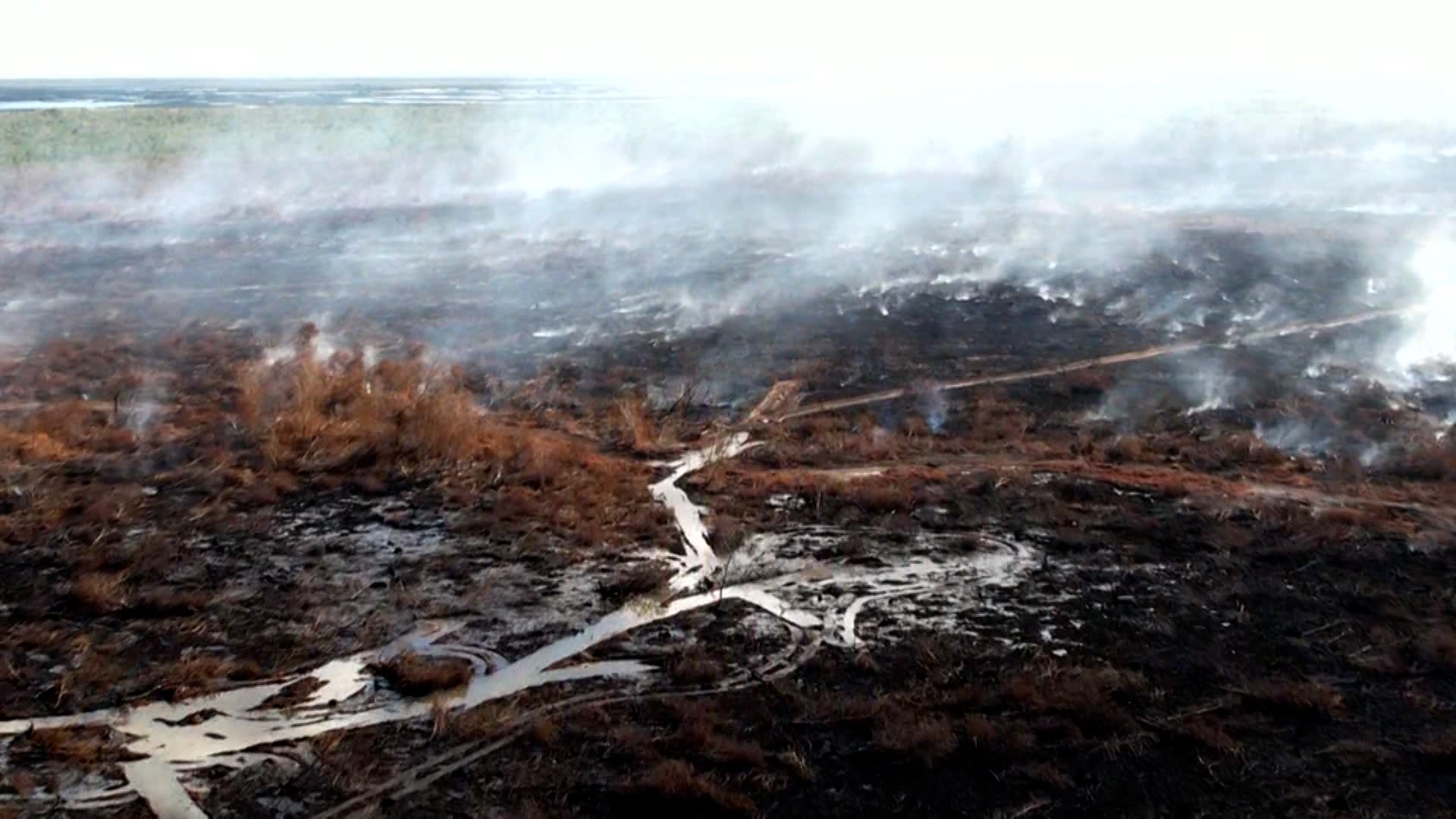 WWL-TV captures drone footage of the expansive marsh fire that has already scorched more than 200 acres in New Orleans East by Tuesday, Nov. 7, 2023.