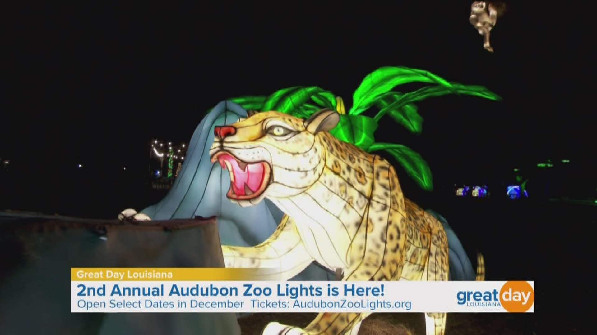 The Audubon Zoo Lights is open select days in December. For tickets, visit https://www.audubonzoolights.org.