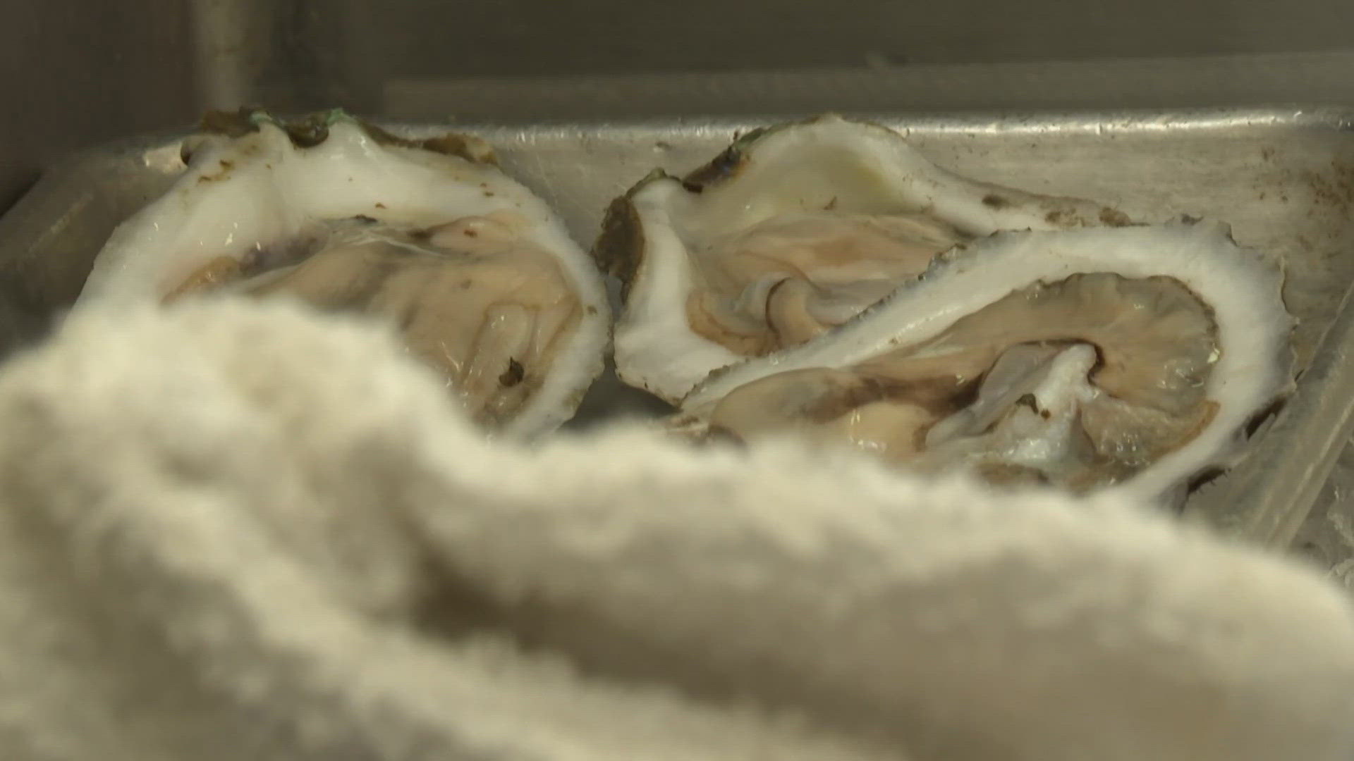 Two dead after getting flesh-eating bacteria from eating raw oysters