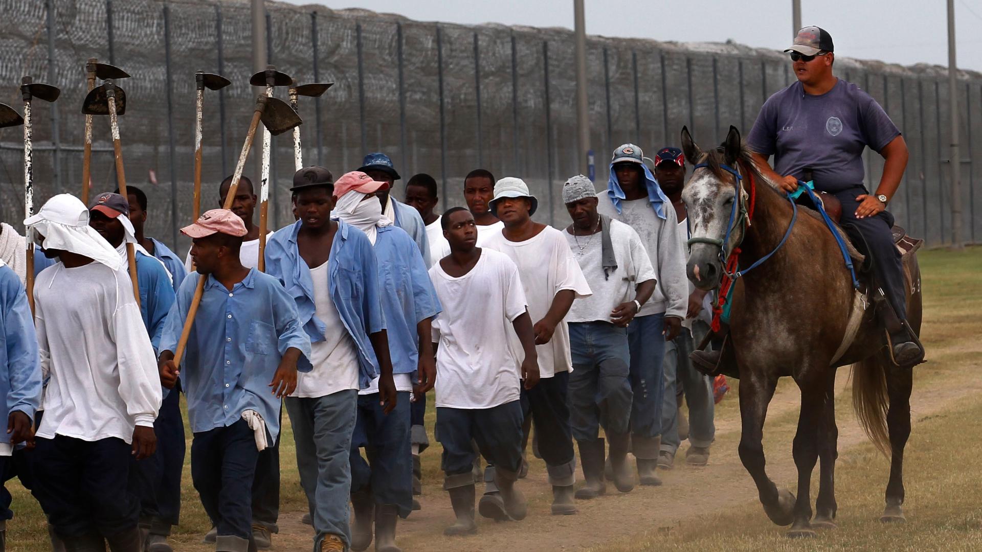 judge-tells-louisiana-to-help-protect-prisoners-working-in-field