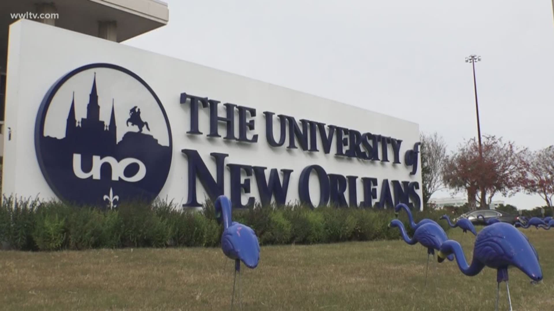 Branding vs. budget: UNO braces for LSU takeover amid program cuts and ...