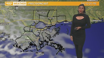 A mild and quiet start to the month of December