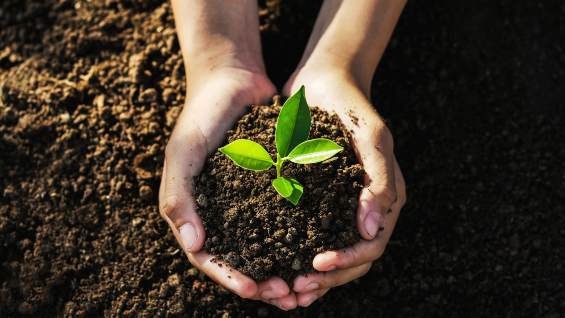 New Orleans area to mark Earth Day with cleanups, workshops and family fun