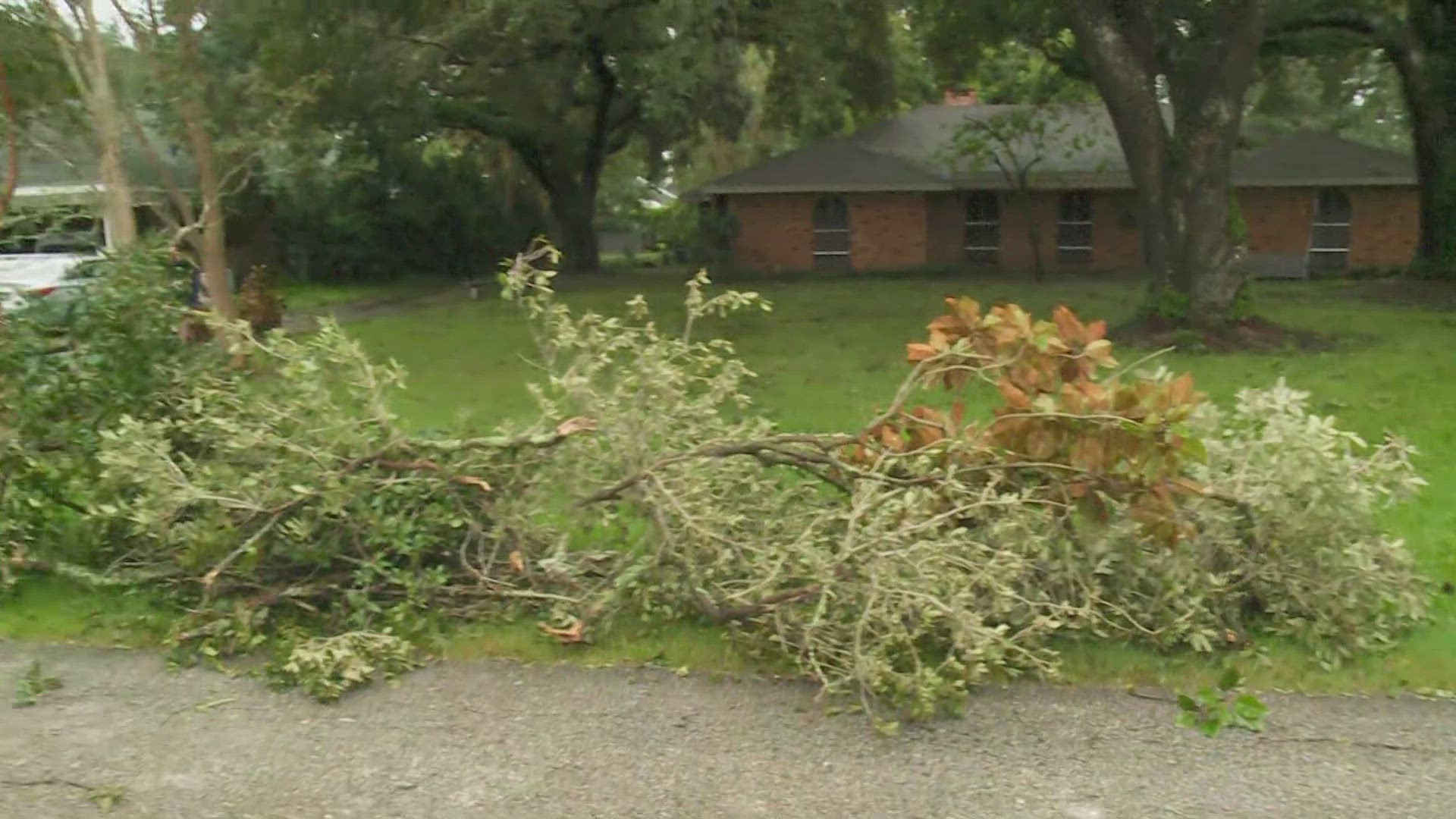 WWL Louisiana's Leigha McNeil gives an update about the damage sustained during Hurricane Francine overnight on Thursday, Sept. 12.