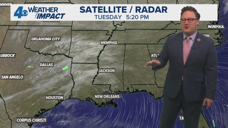 Background, age of Landry appointee draws attention | wwltv.com