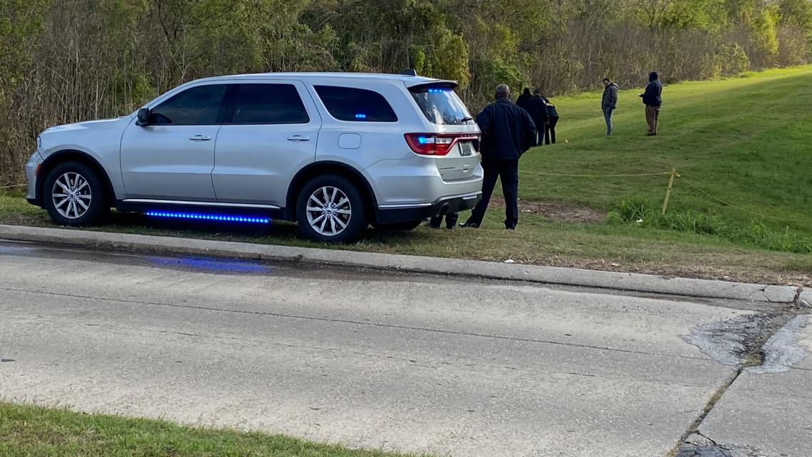 New Orleans police investigate a homicide in New Orleans East | wwltv.com