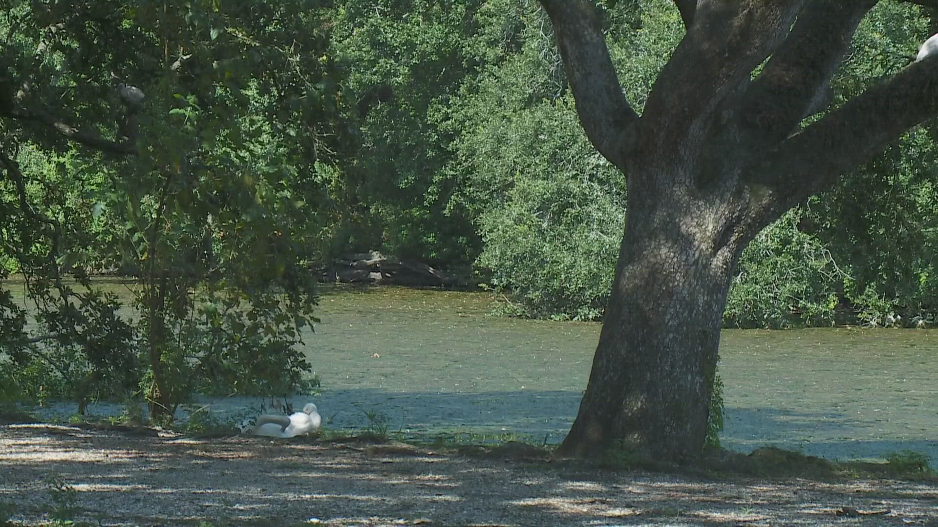 On Monday afternoon, the Orleans Parish Coroner's Office identified the body was identified as 25-year-old Michael Nwokorie.