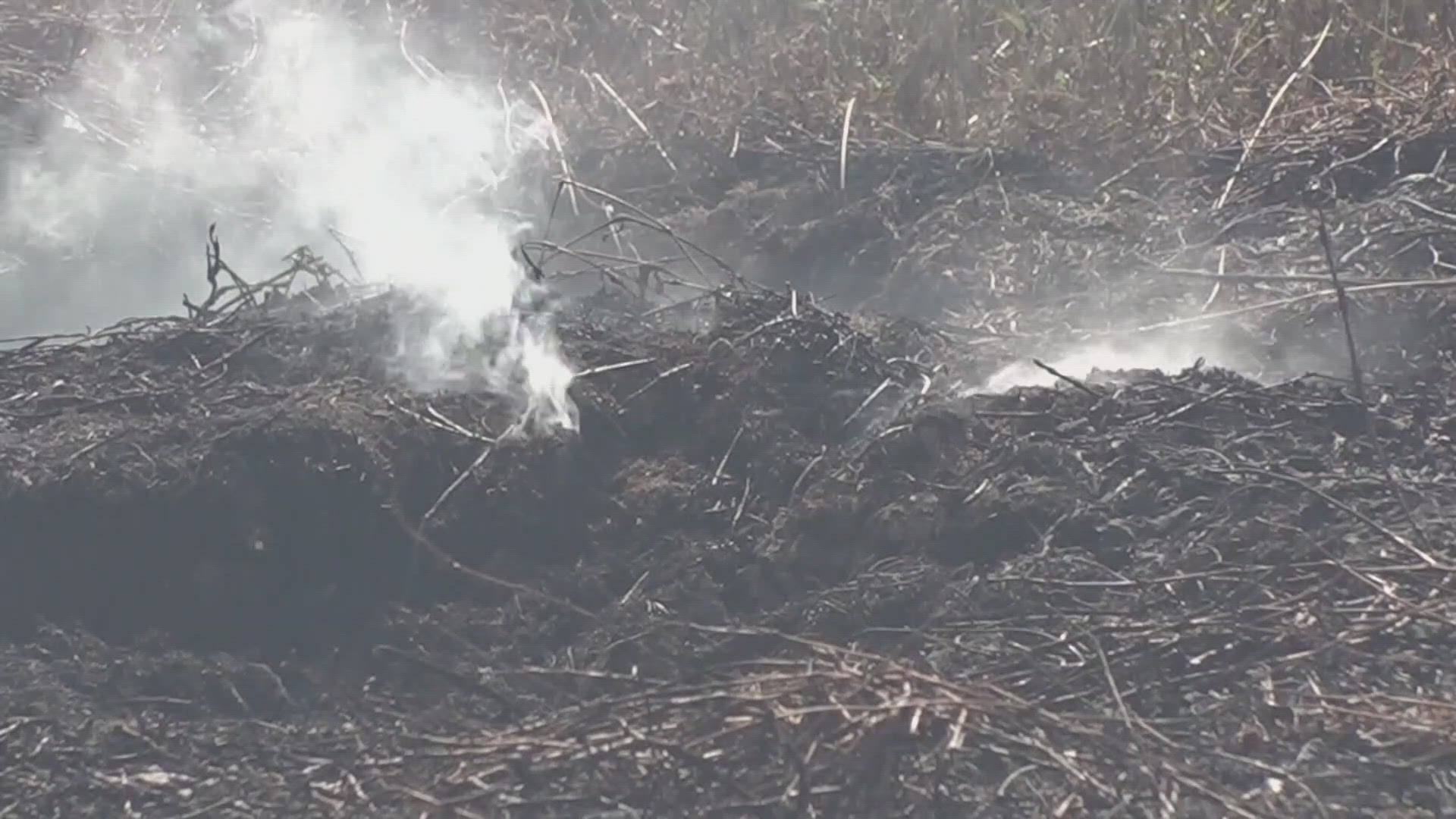 The fire is located off Chef Highway, not far from Bayou Sauvage. The smoke from the fire likely contributed to crashes on I-10 Tuesday morning.