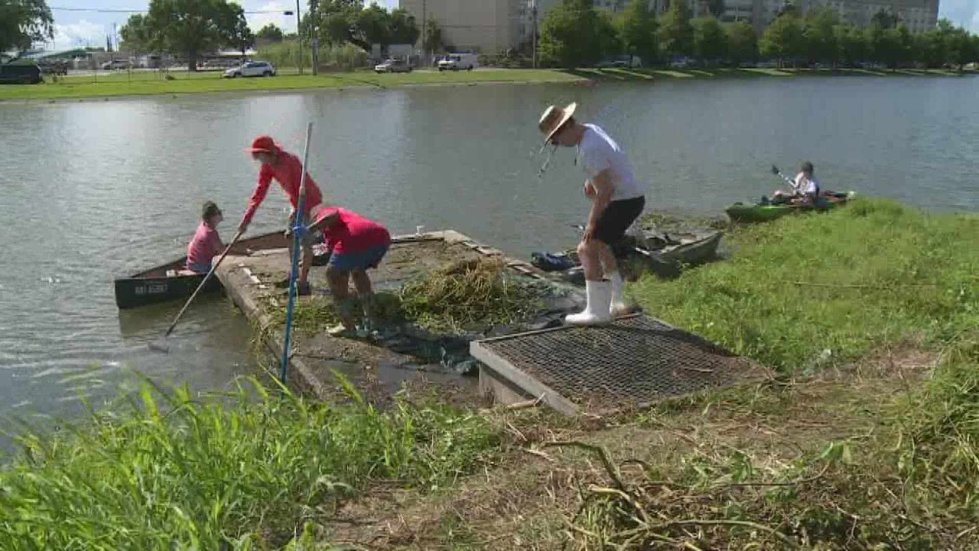 Neighbors gathered Saturday to continue their fight against the invasive species Giant Salvinia.