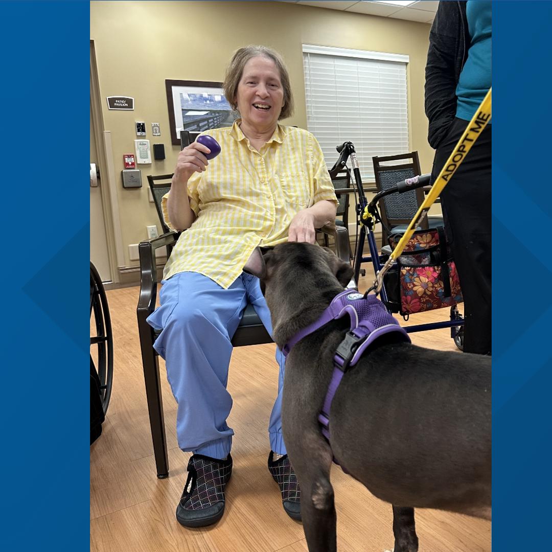 Senior Paws Program Golden Paws Connects Shelter Dogs With Seniors in Covington | wwltv.com