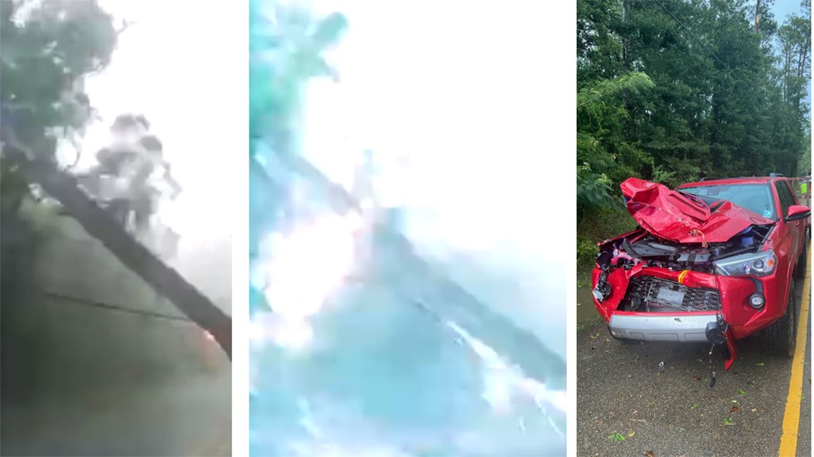Video shows scary encounter as tree and power line land near car in Abita Springs - Vimarsana News