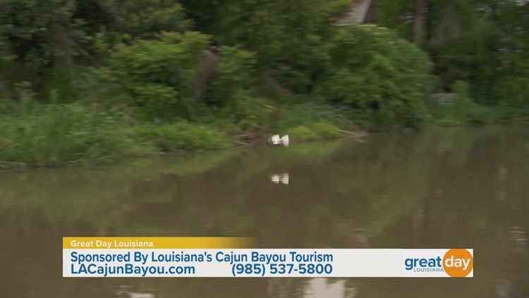 One Tank Trip: Exploring Up & Down the Bayou