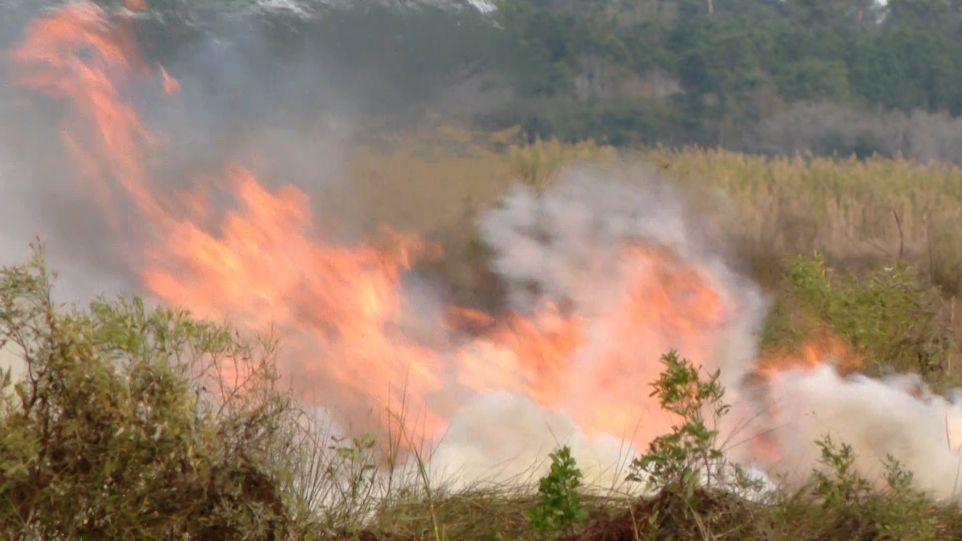 Slidell marsh fire burns near the 4600 block of  Pontchartrain Drive on Friday, Dec. 22, 2023.