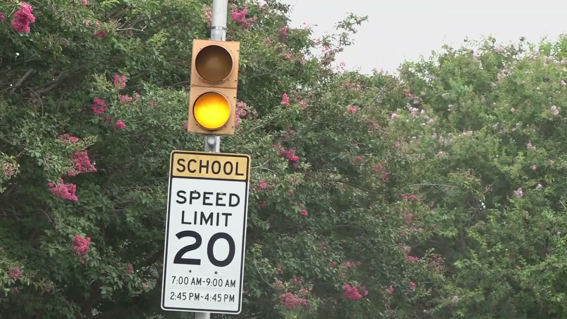 Are New Orleans' school zone cameras active? What drivers should know