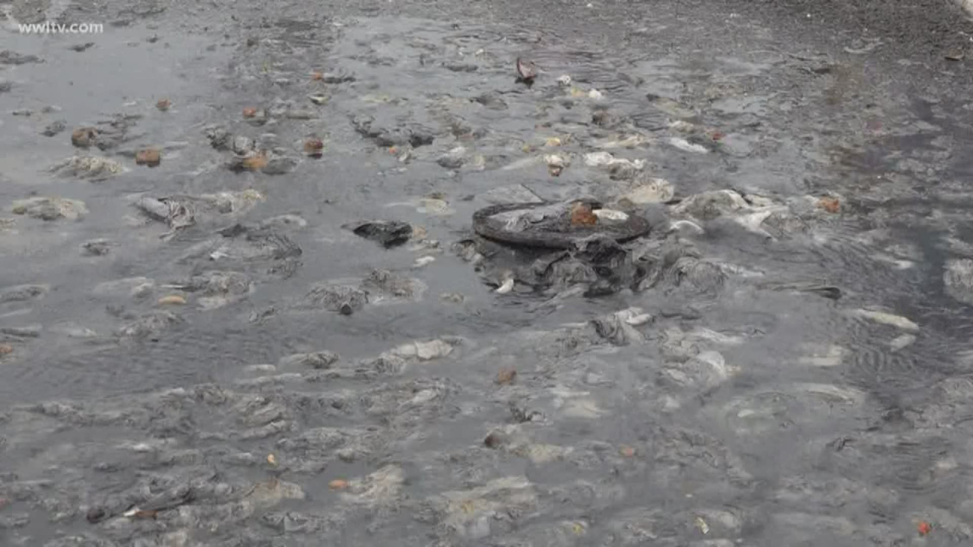 Over the past four days, sewage has been spilling out of manhole covers along Edenborn Avenue in the Fat City part of Metairie. It's left human waste and a terrible smell all over the street.