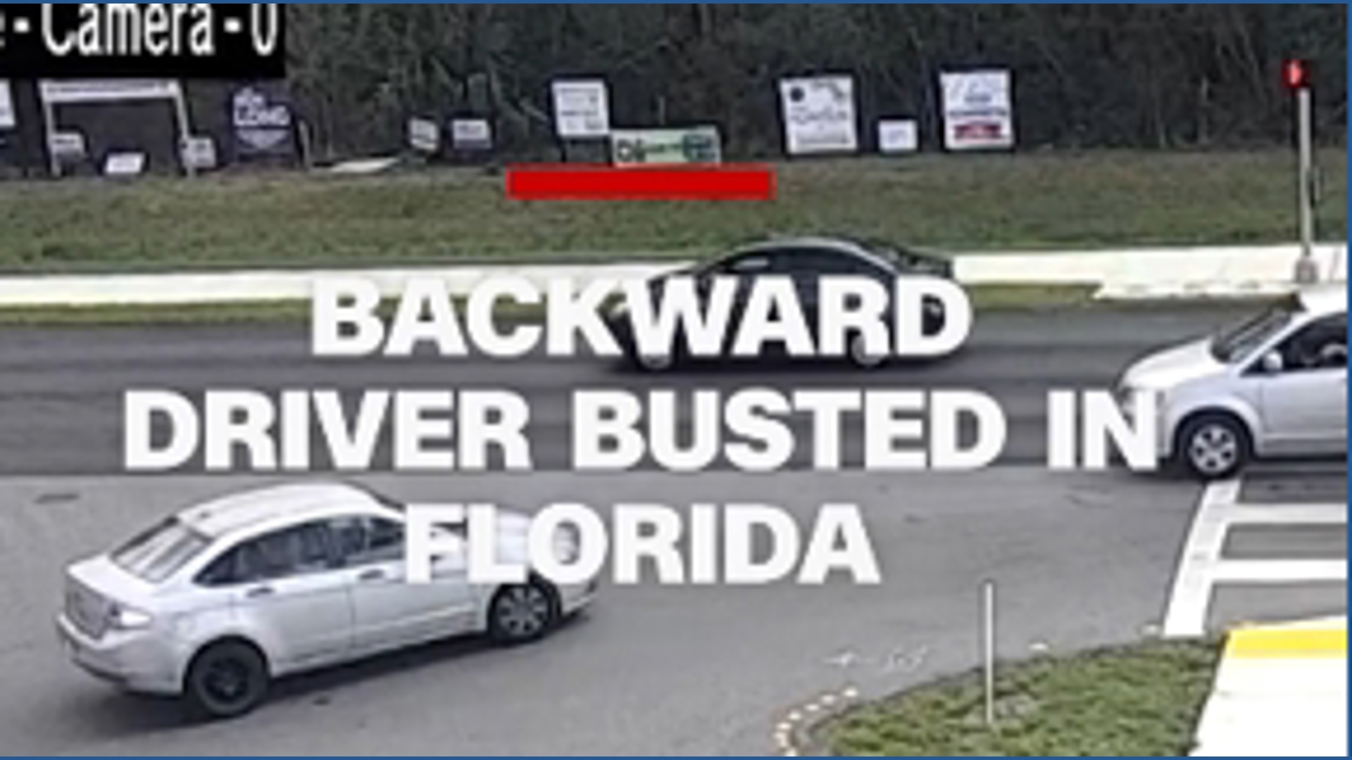Backward driver busted on camera in Florida | wwltv.com