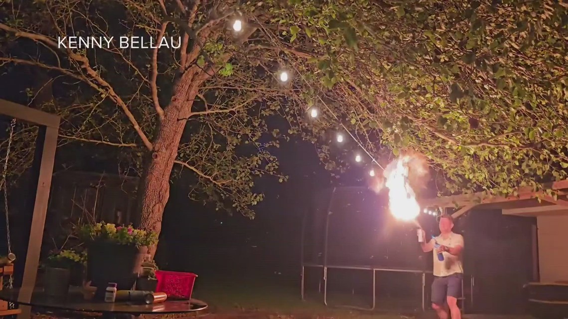 Swarming termites are active! Slidell man tries blowtorch to rid them ...