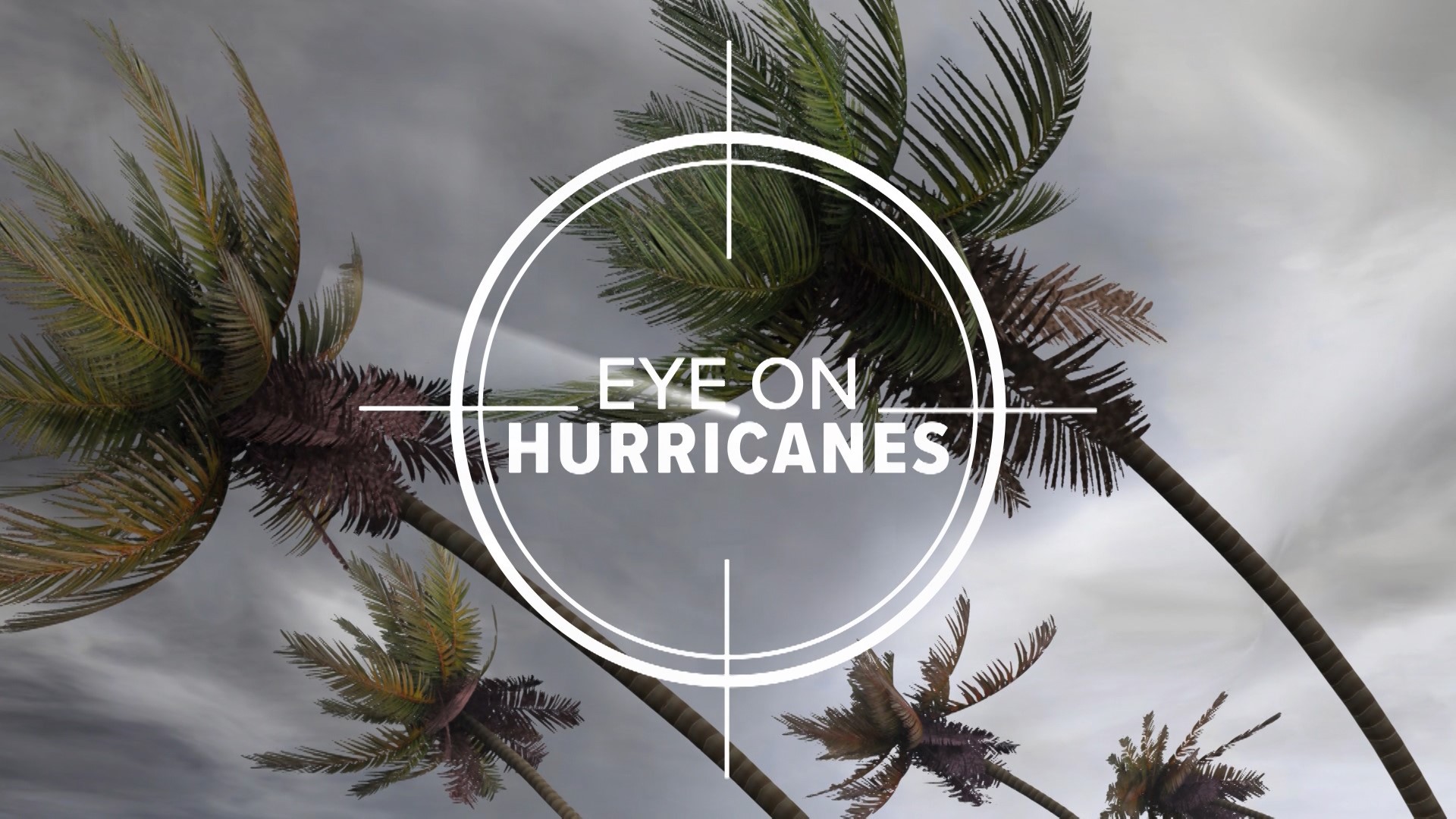 Outlook for the 2019 hurricane season; Dave Nussbaum interviews National Hurricane Center Director Ken Graham; an explanation of what  storm surge is and how devastating it can be