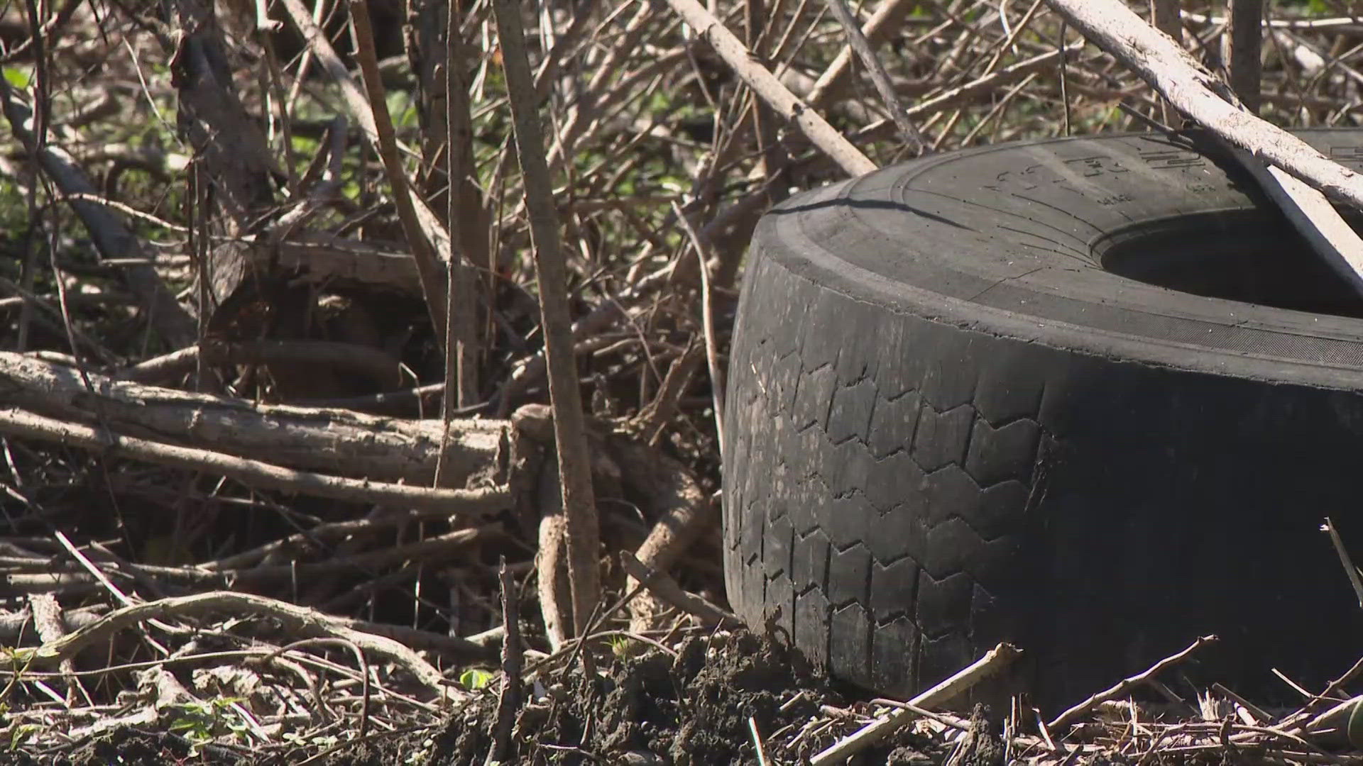 Two months after Hurricane Francine, the neutral ground along Tullis Drive in Algiers is till littered with storm debris.