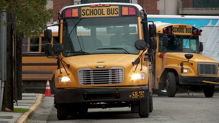 Is New Orleans' permit system hurting local school bus companies?