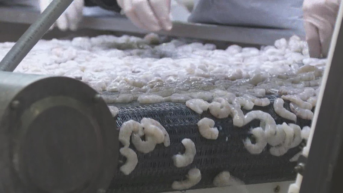 Shrimpers struggling to find buyers - Vimarsana News