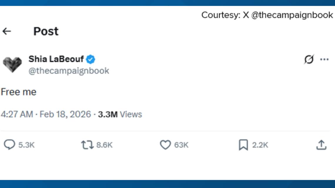 Shia LaBeouf posts 'free me' after Mardi Gras arrest in New Orleans