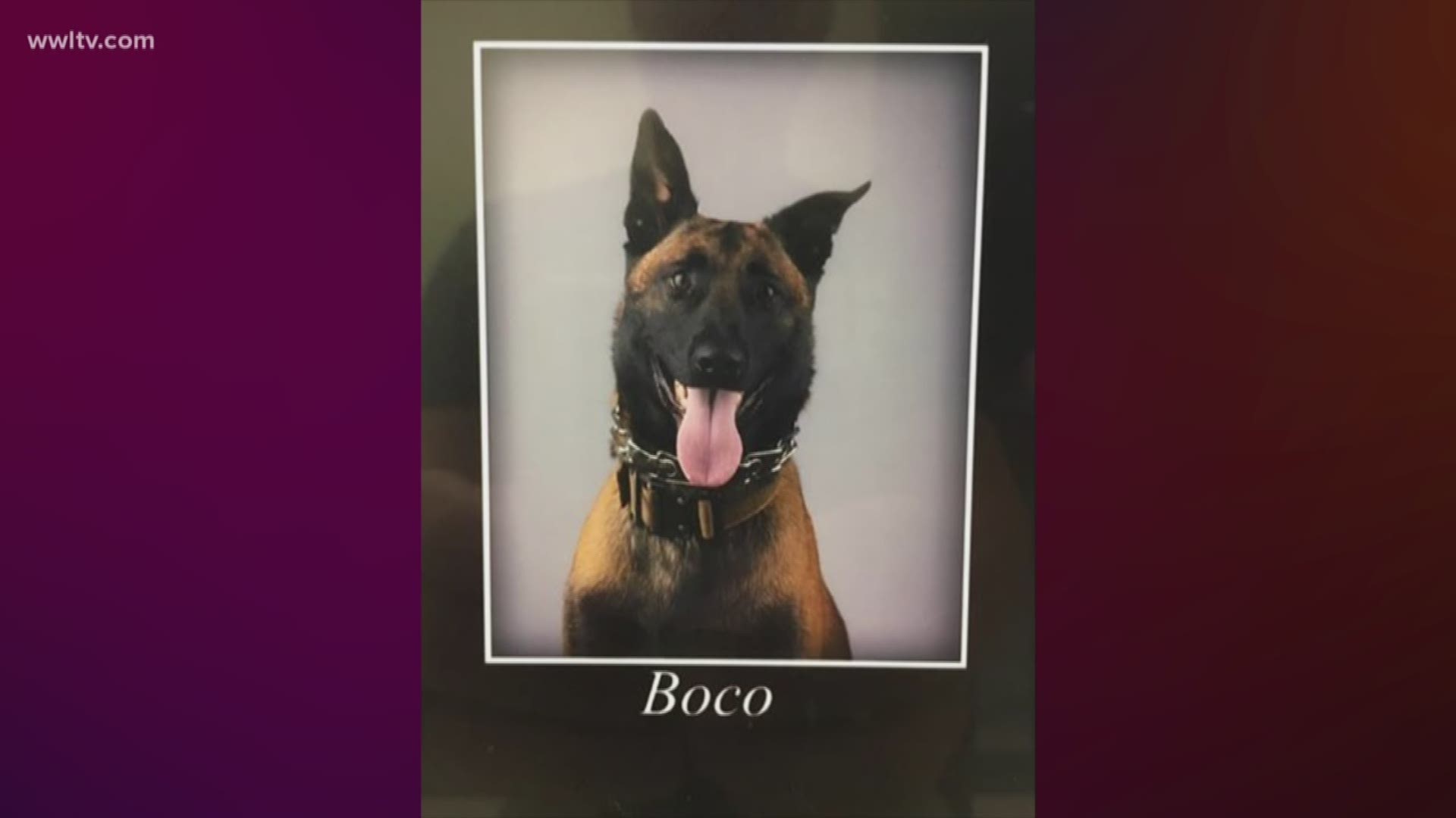 Boco was working to find an attempted murder suspect when deputies said they heard a volley of gunfire.