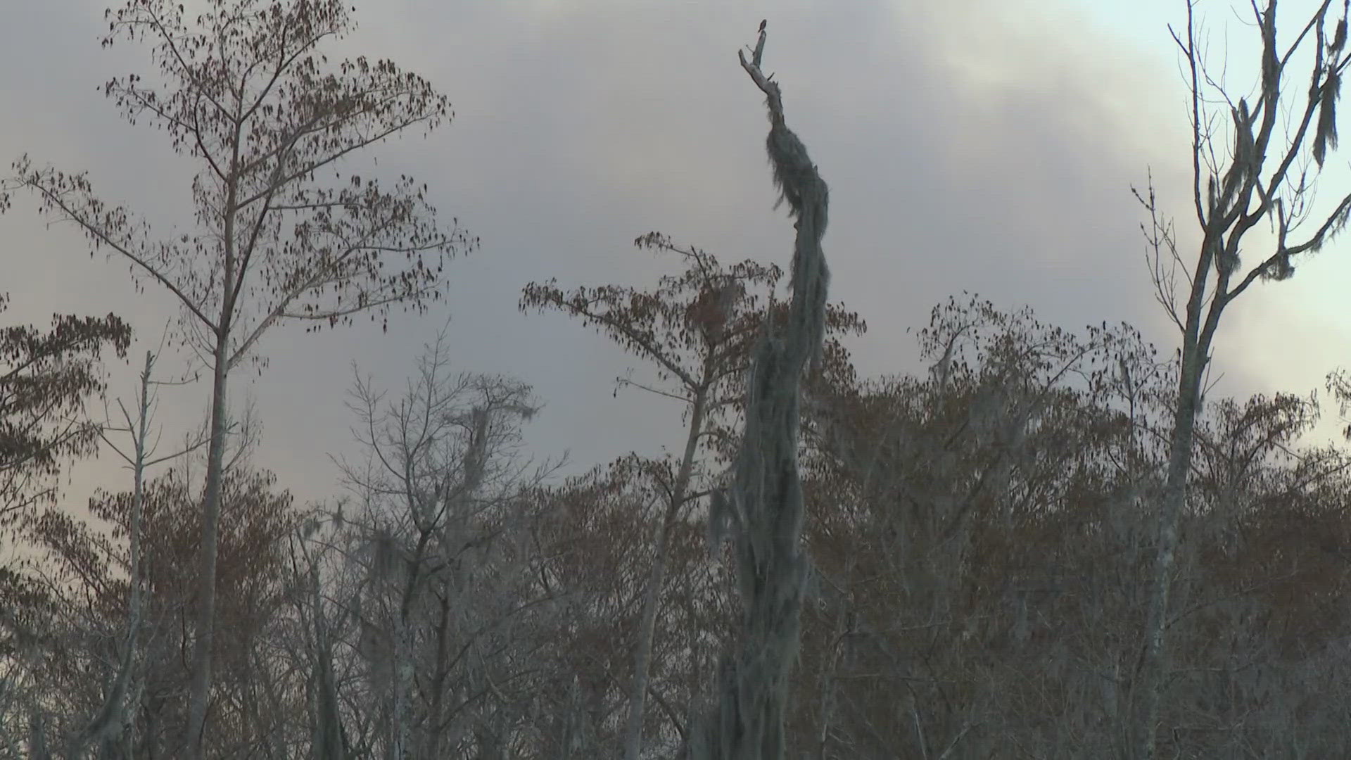 Large marsh fire burning in St. Charles Parish, super fog possible ...