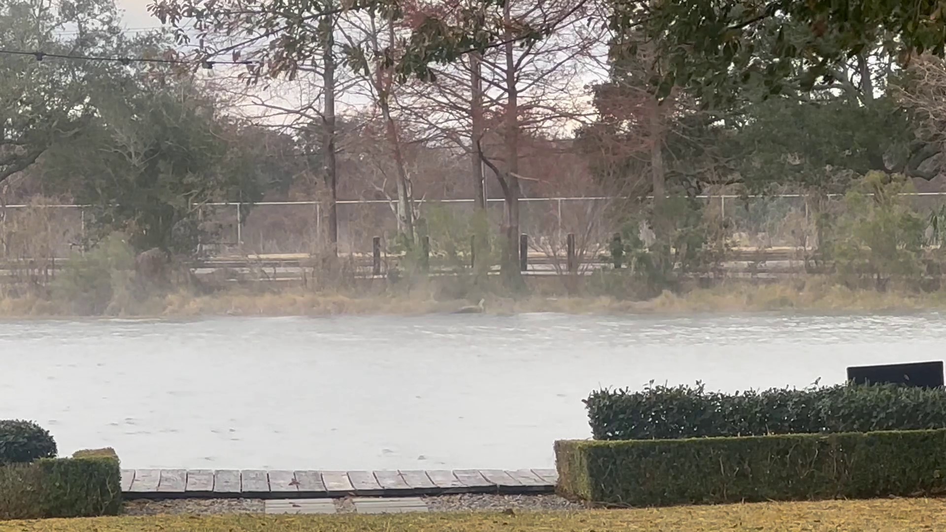 Cold weather conditions on Bayou St. John.