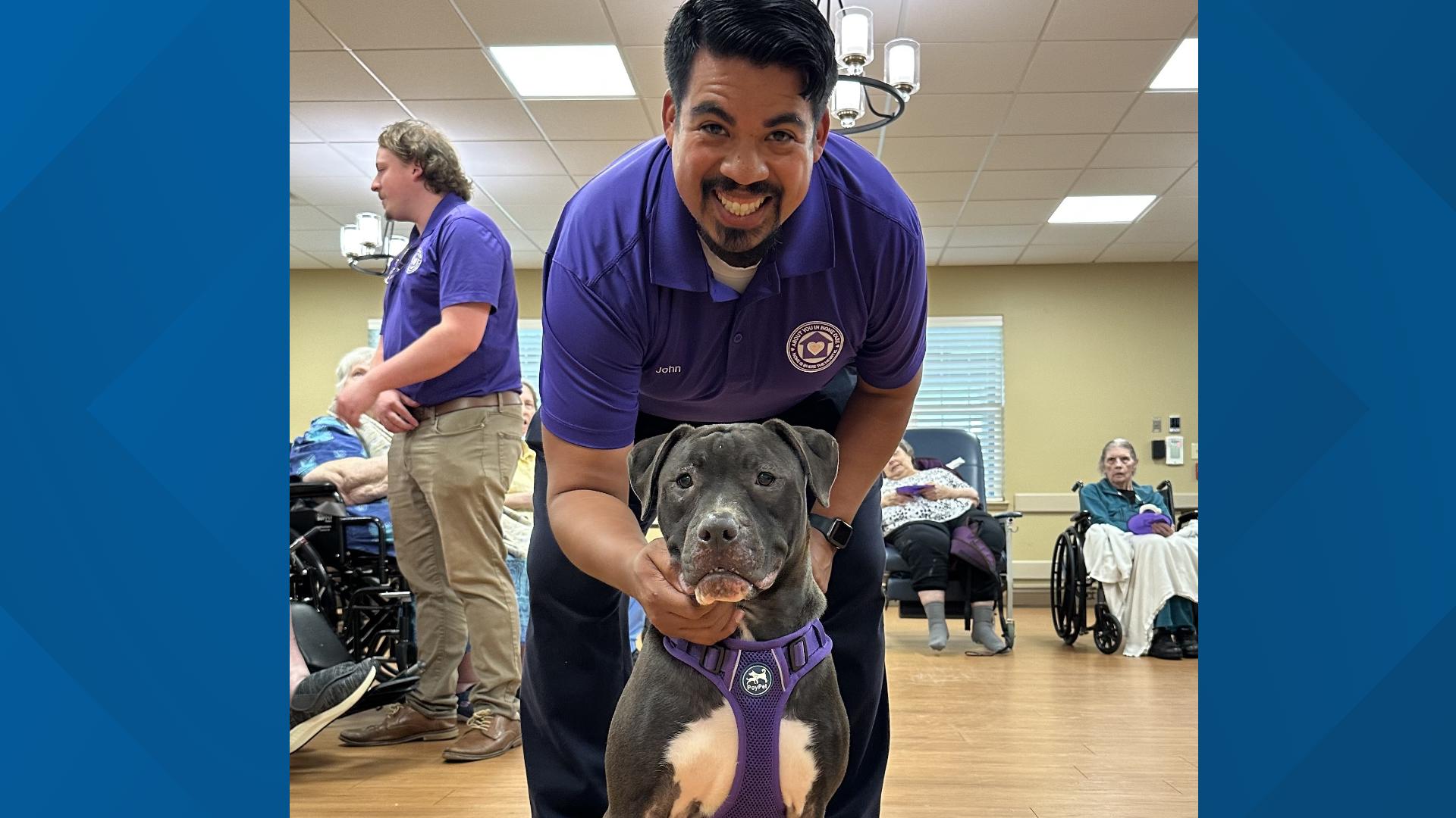 Senior Paws Program Golden Paws Connects Shelter Dogs With Seniors in Covington | wwltv.com