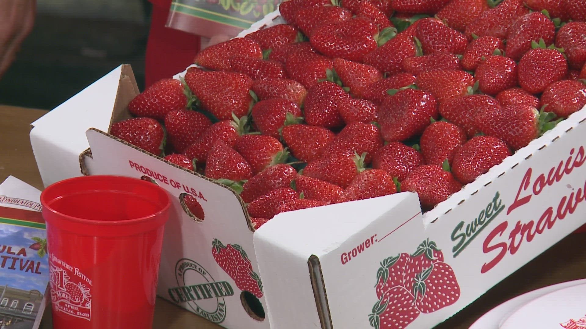 Ponchatoula Strawberry Fest