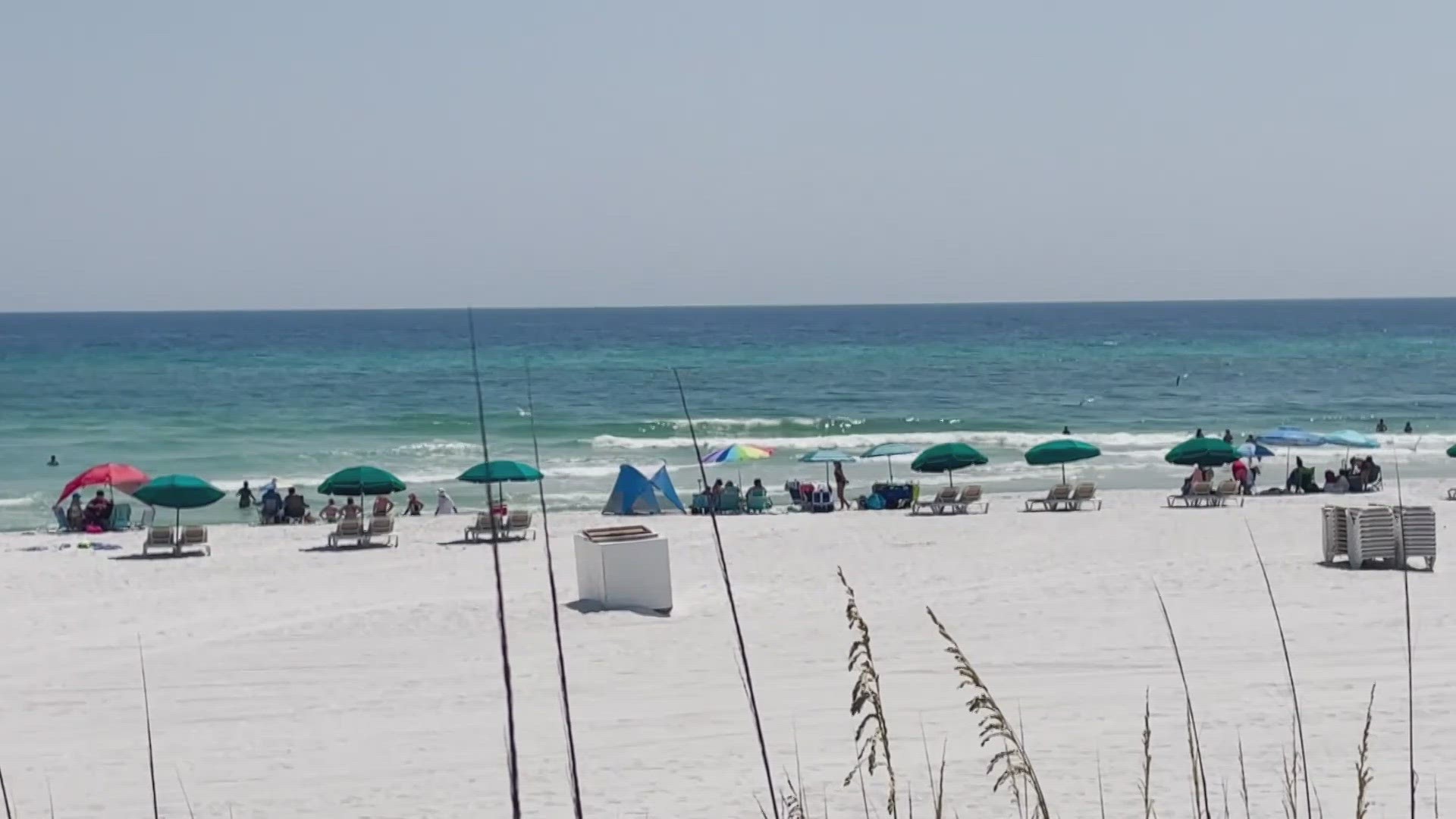 You are advised not to try to fight back against a rip current, but, instead to swim parallel to the beach until you are out of the current.