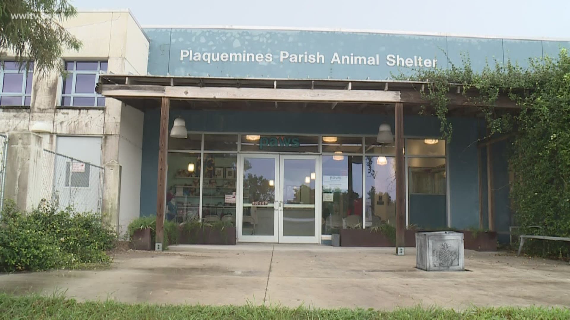 As a step to free up space quickly, the shelter has decided to drop its adoption frees for dogs from $125 to now $50, and for cats, from $40 to $25.