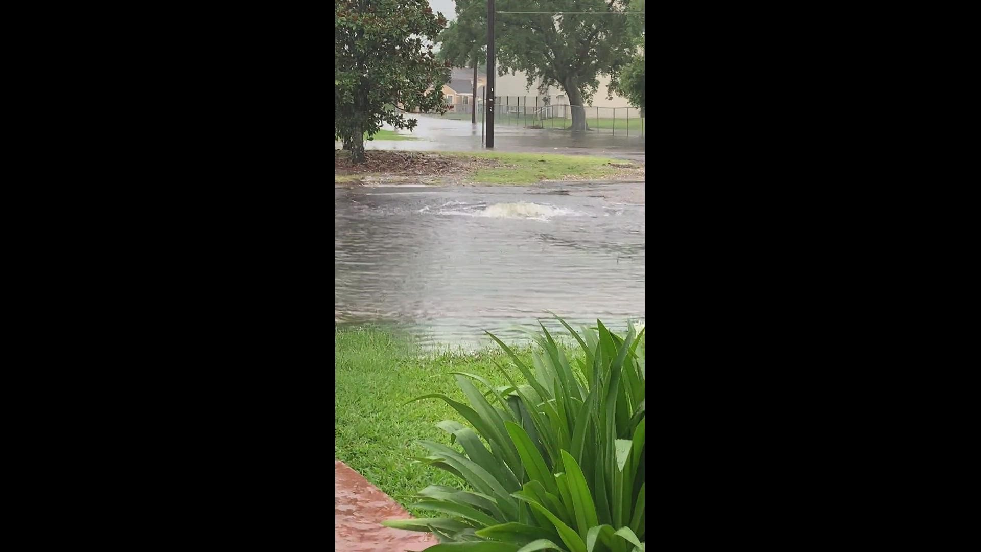 Viewer Video: Flooding on Prentiss in Gentilly
Credit: Kristi Jacobs