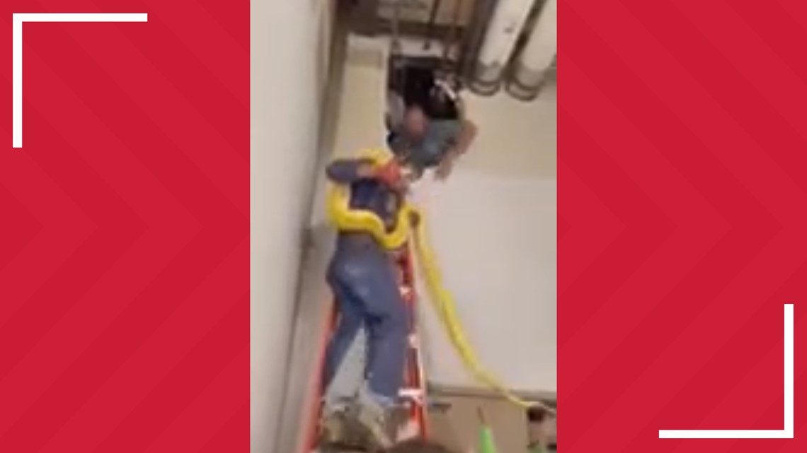 Video Missing 12 Foot Python Found In Ceiling Area Of Mall Of Louisiana 6855