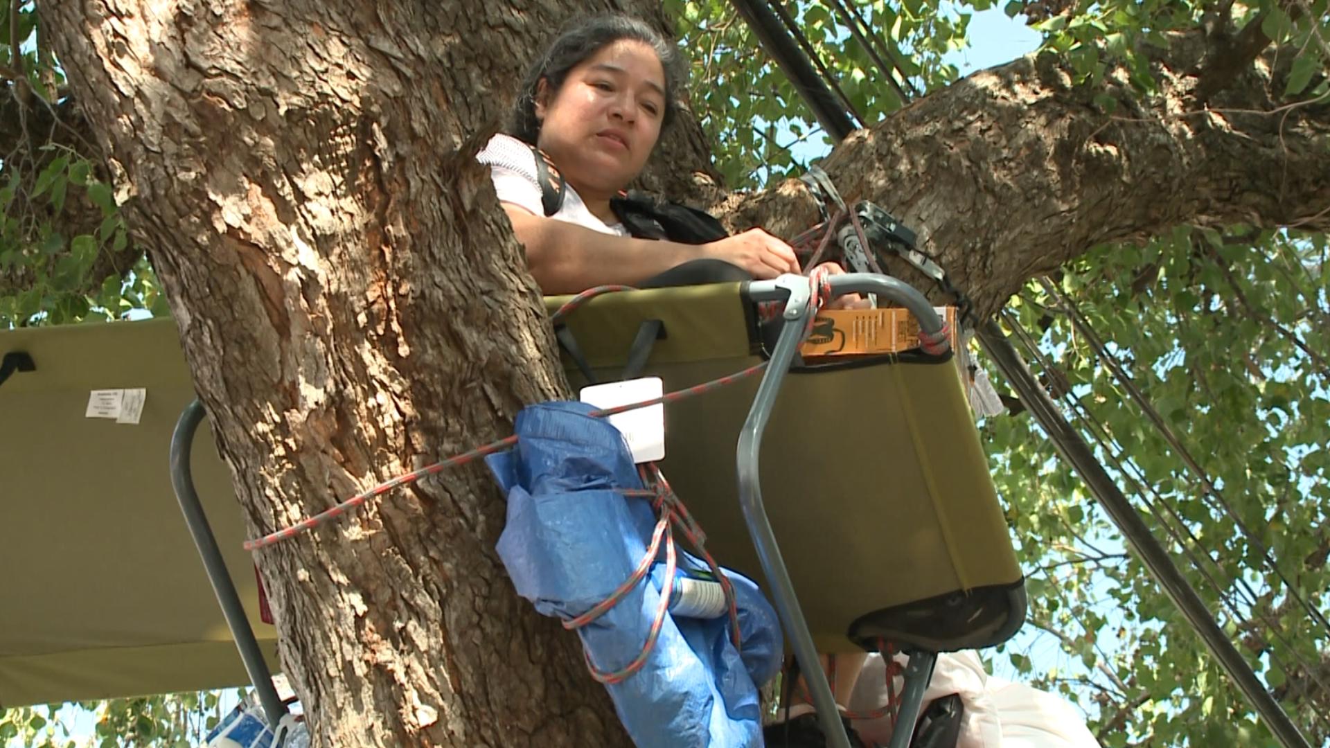 The Department of Parks and Parkways planned to cut the Chinese tallow that her father planted at her birth — and Lynda Bermuda is not letting it go.