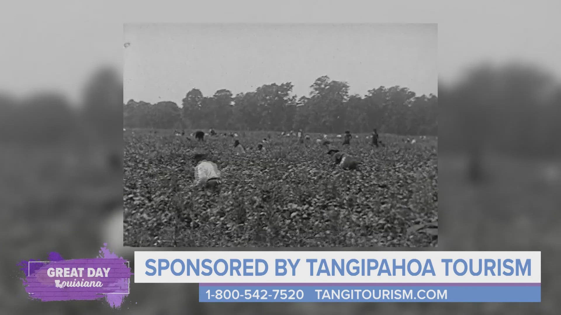 We stop by the Tangipahoa Parish Convention & Visitors Bureau to learn more about the history of the area and the festivals they're known for. 