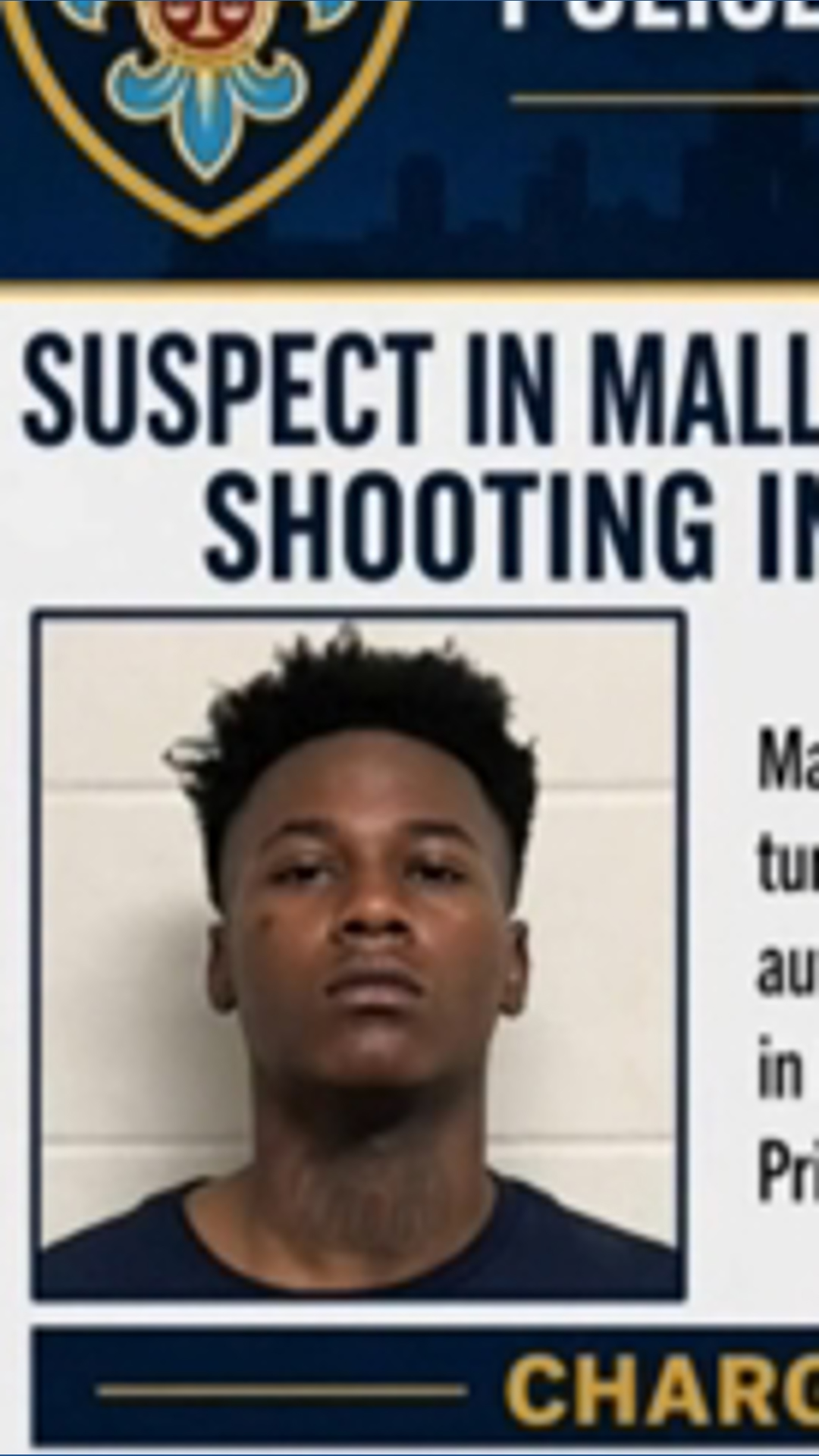 17-year-old faces murder charges in deadly shooting at Mall of ...