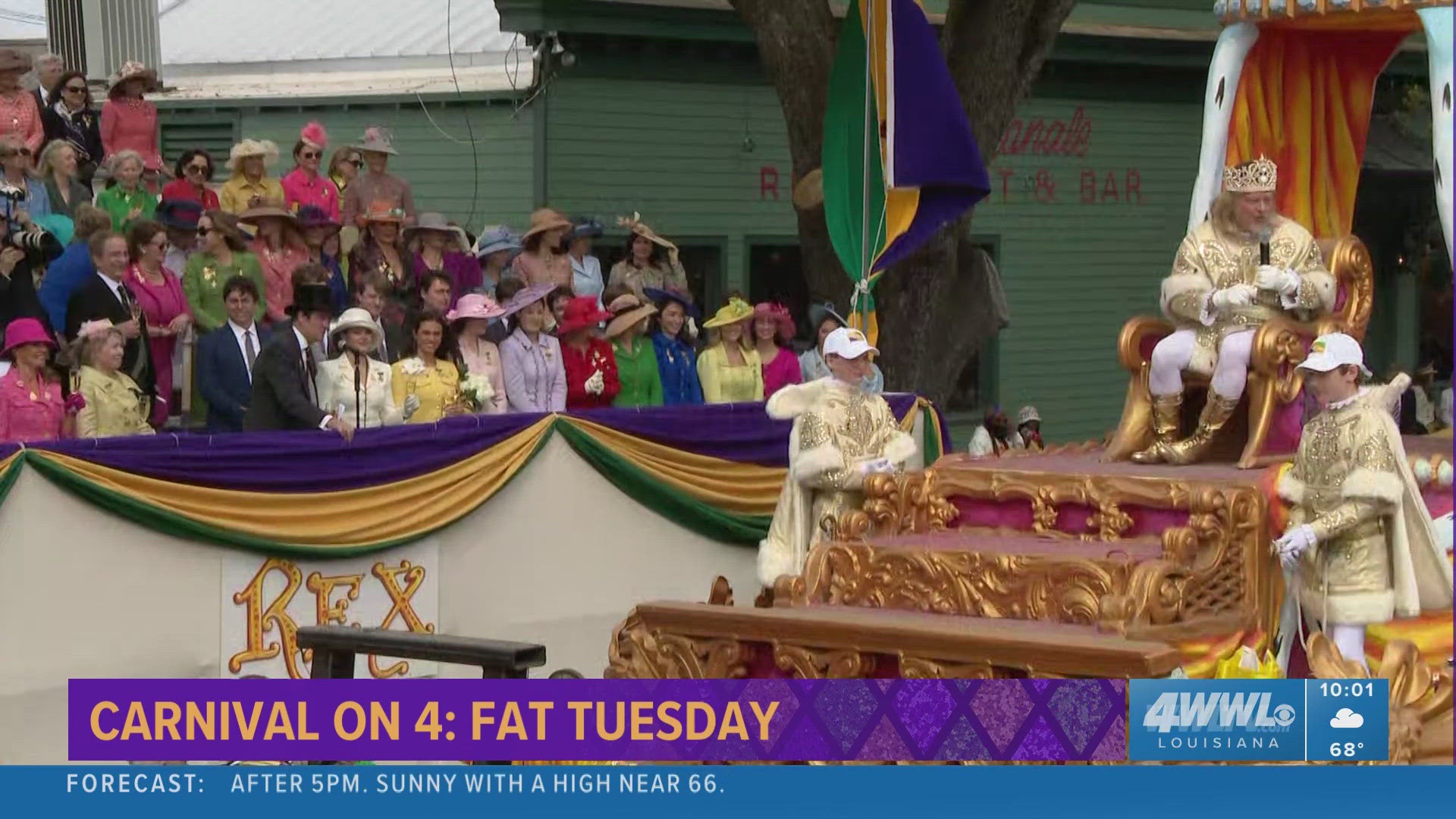 live mardi gras coverage