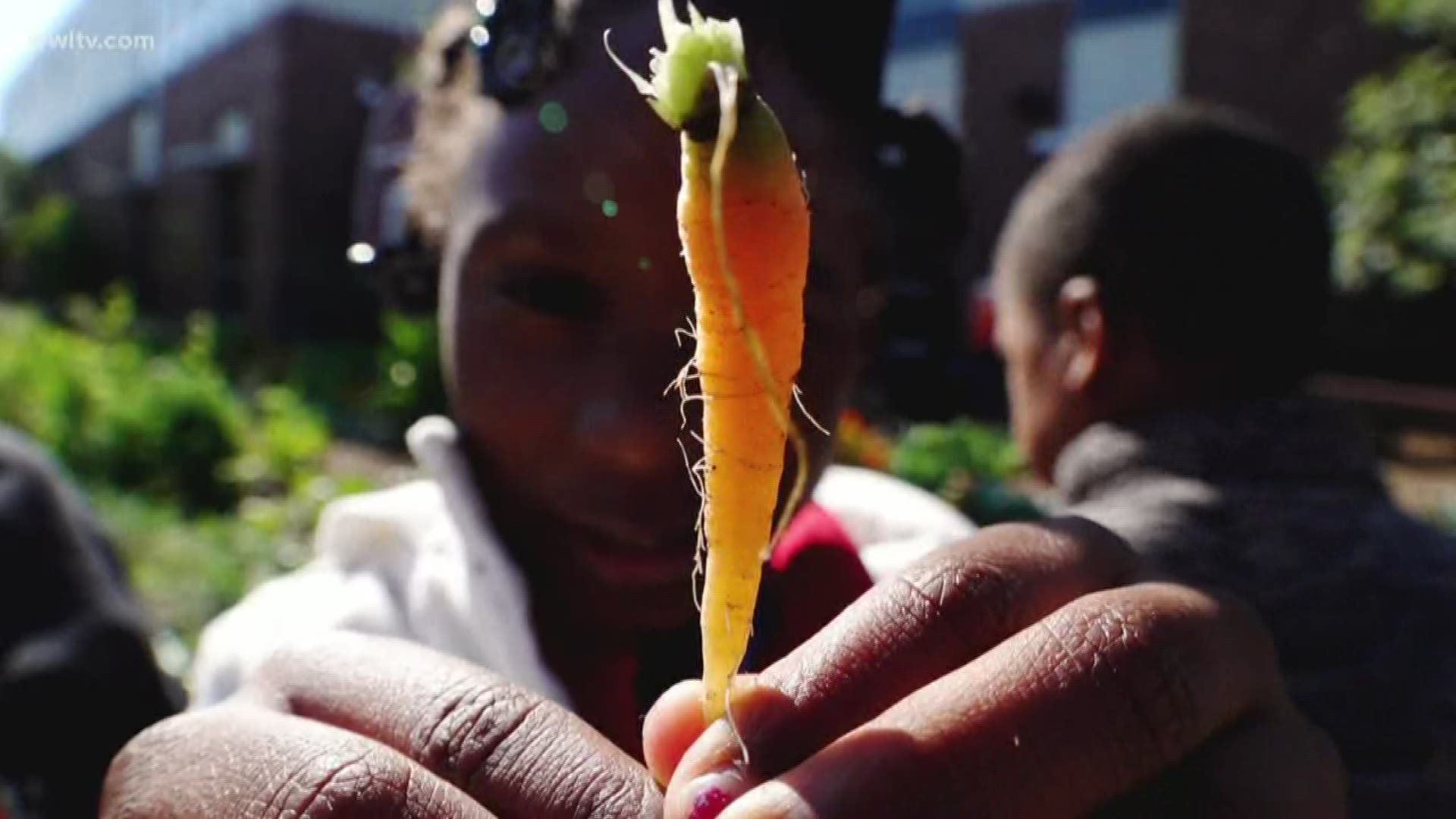 Edible Schoolyards, a signature program of First Line Schools, holds its anniversary gala this week.