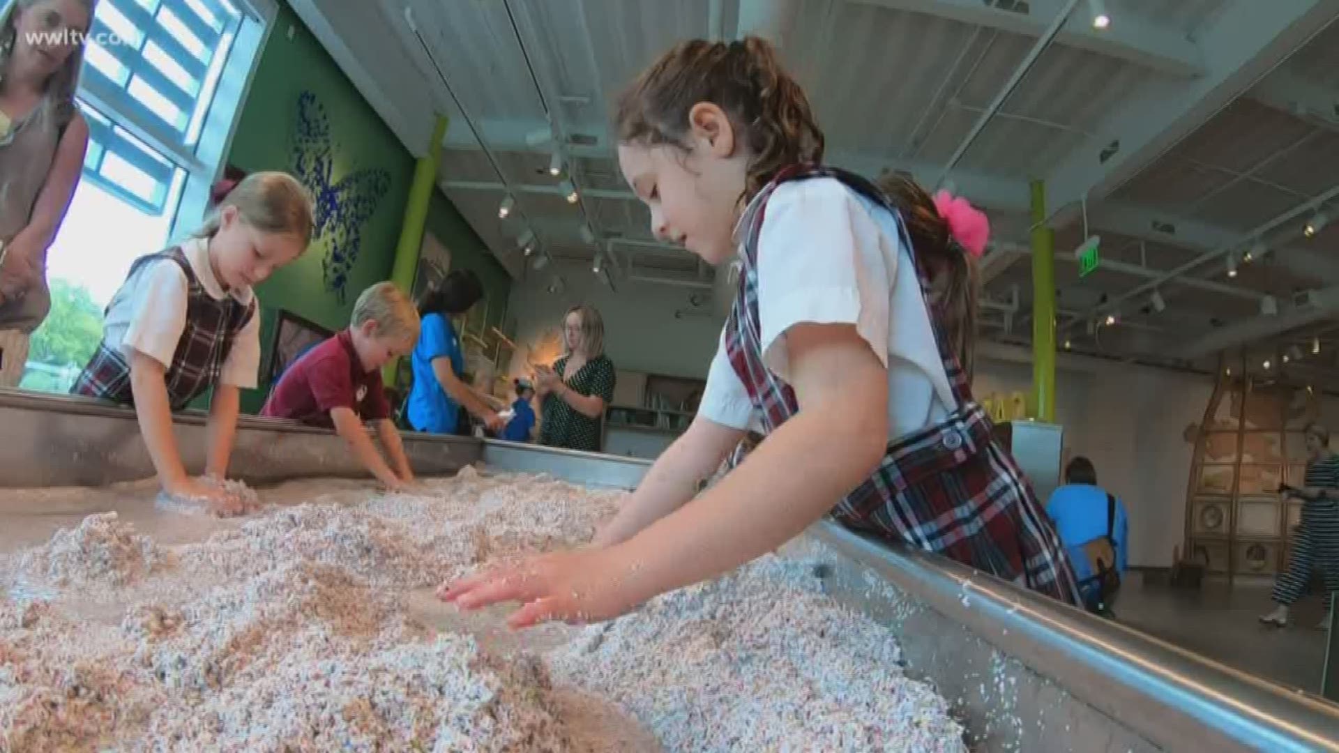 Louisiana Children's Museum set to reopen this weekend