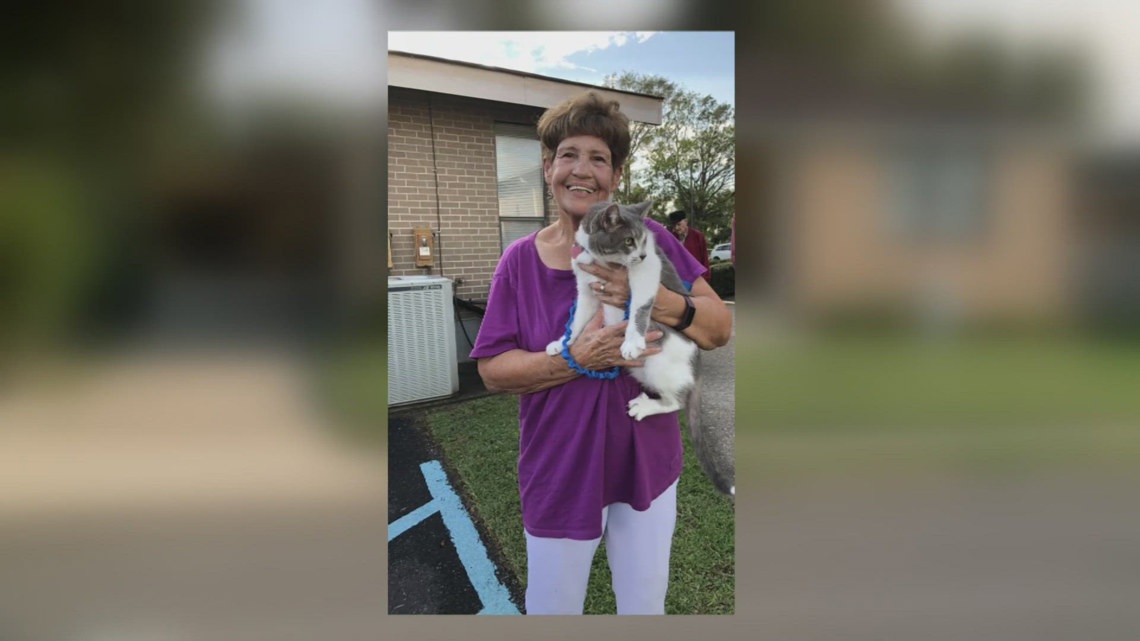 82-year-old woman attacked by dogs in Gentilly | wwltv.com