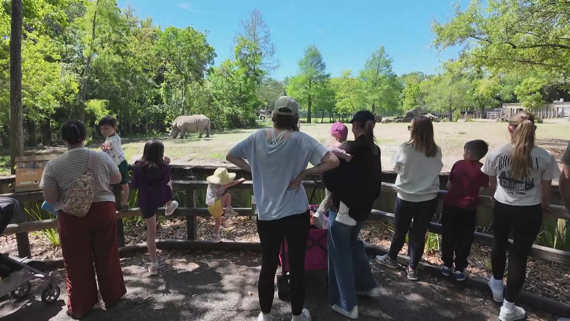 Spotlight: National Zoo Lovers Day | wwltv.com