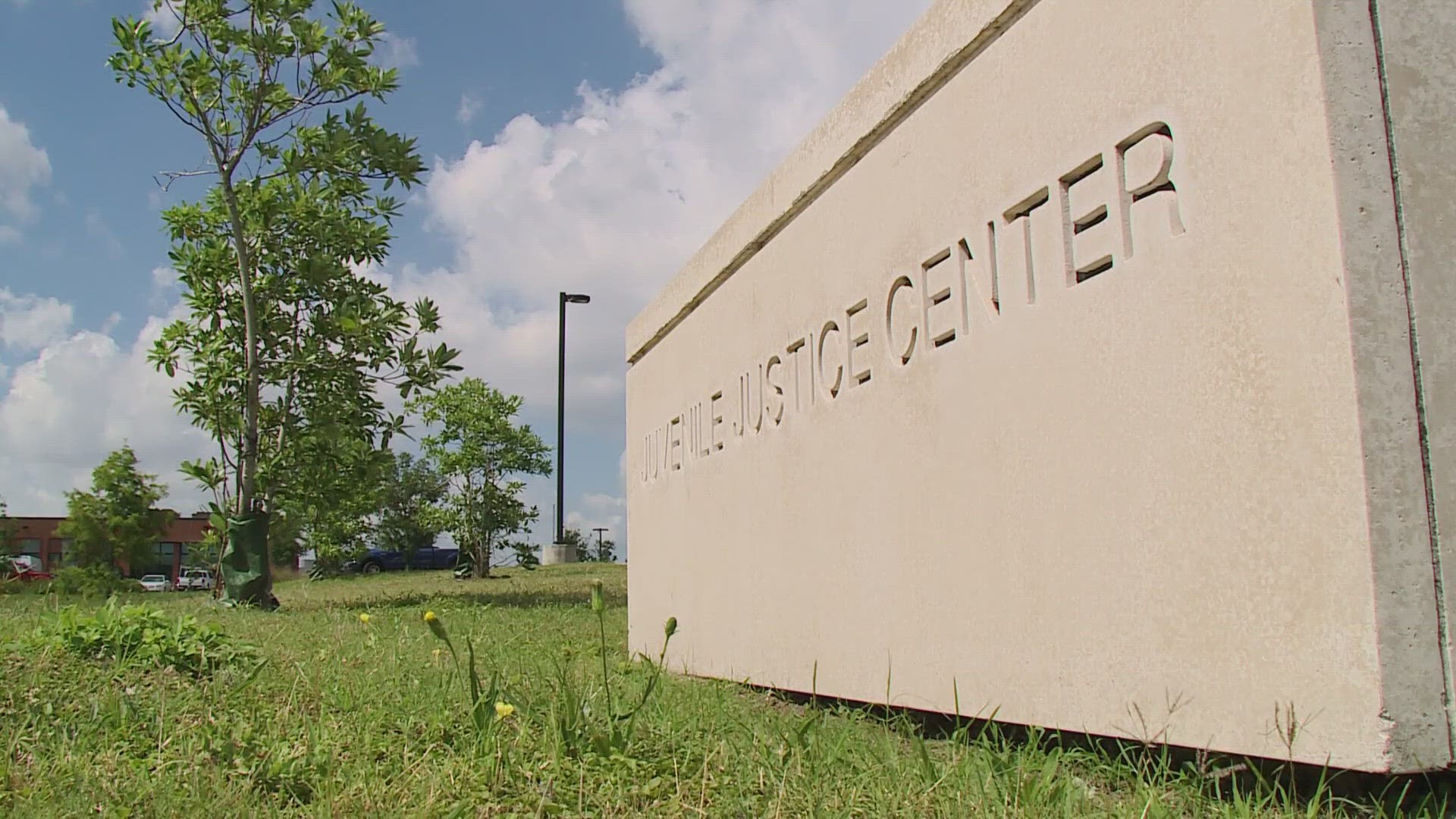 WWL Louisiana's Rachel Handley heard from a man whose life was changed by carjacking, as well as an expert who says this will not solve anything.