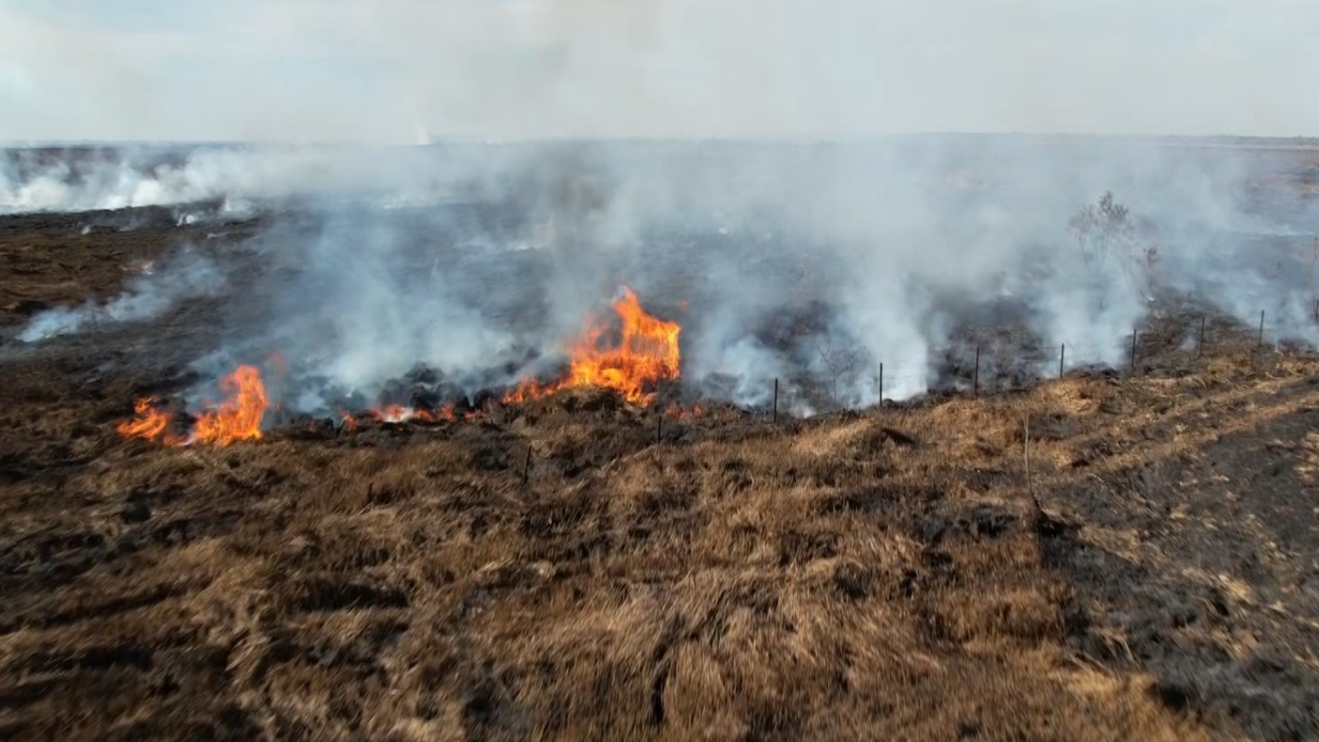 Terrebonne Parish Wild Fire