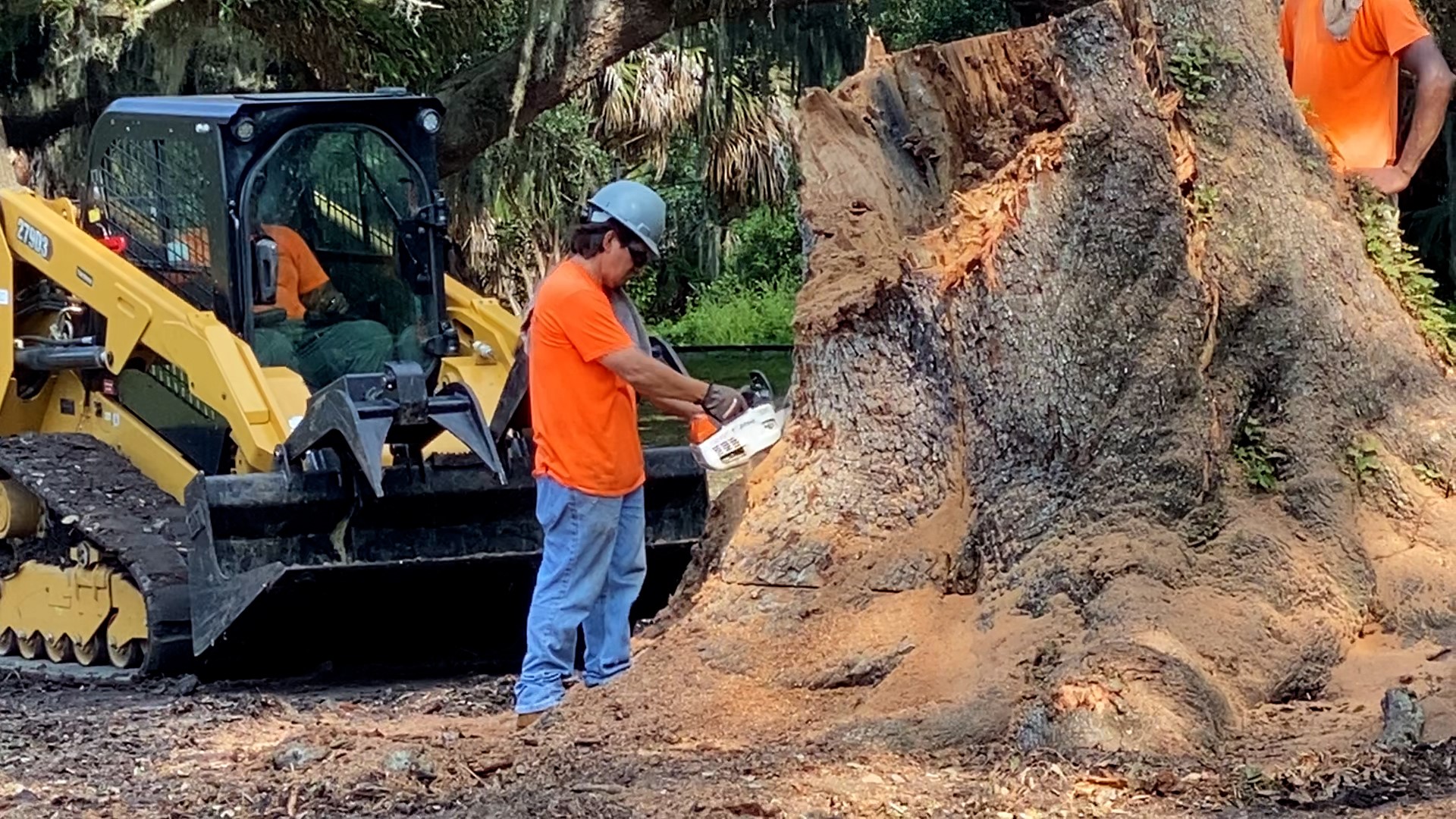 Chief Operations Officer Chris Maitre talks to WWL-TV's Paul Murphy about the fallen live oaks in City Park, New Orleans on Friday, Sept. 8, 2023.