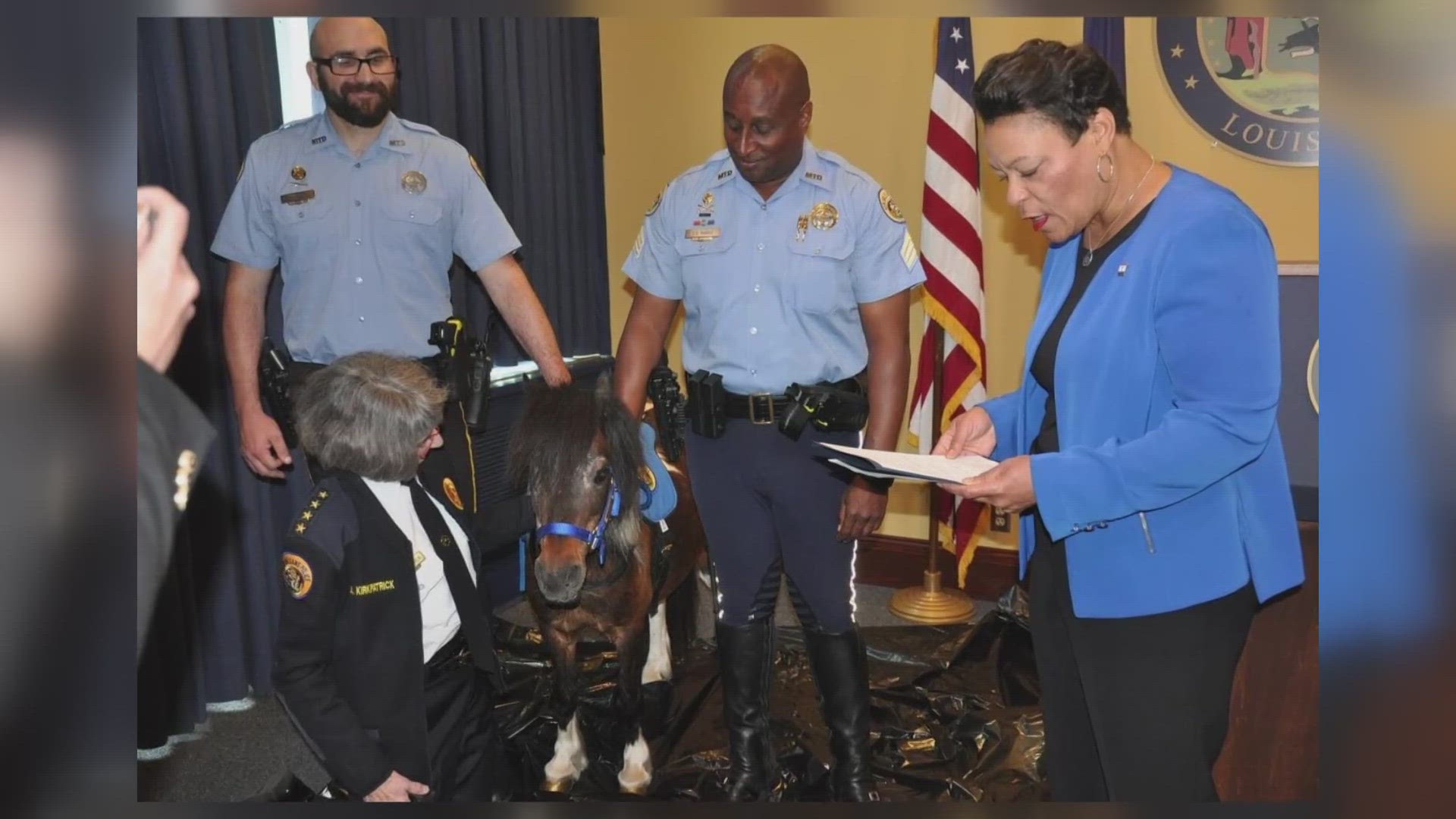 The 15-year-old horse received his own badge and proclamation from the New Orleans City Council.