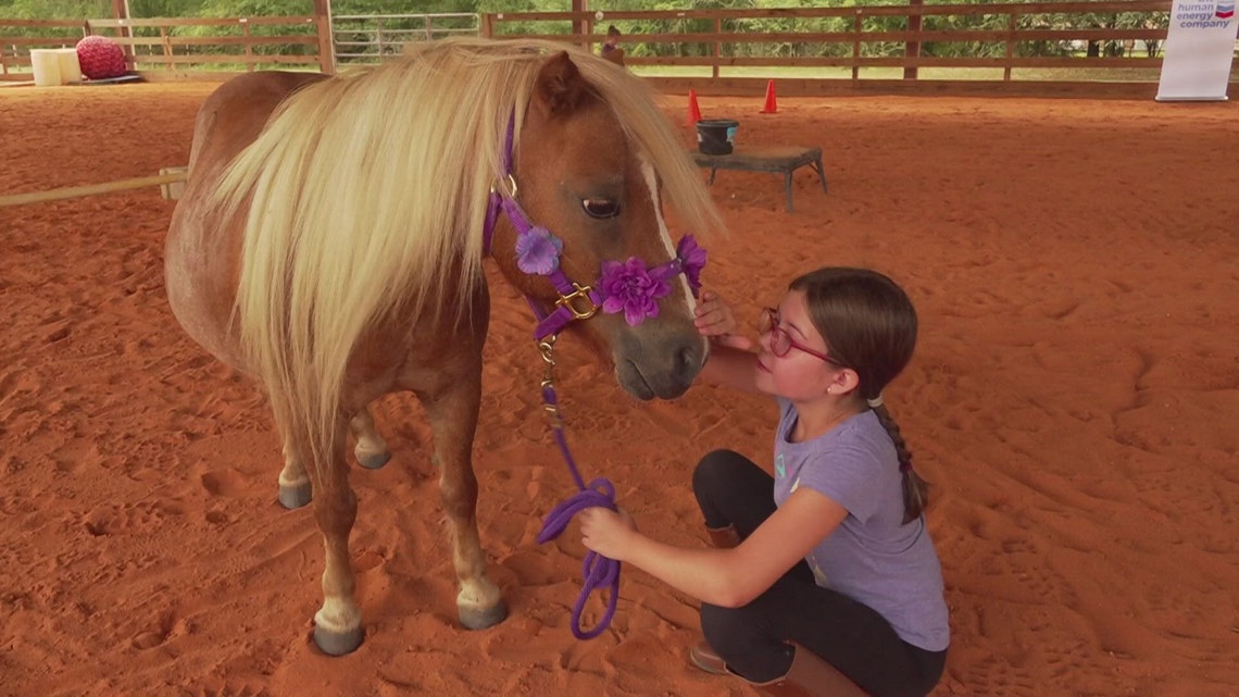 Miriam Ritter Equine Reflections teaching and healing therapy with horses | wwltv.com